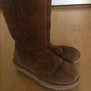 Tall Chestnut Uggs